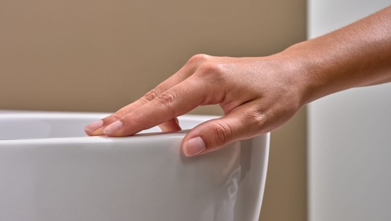 Hand brushes over a WC with a KeraTect® finish Hand brushes over a WC with a KeraTect® finish