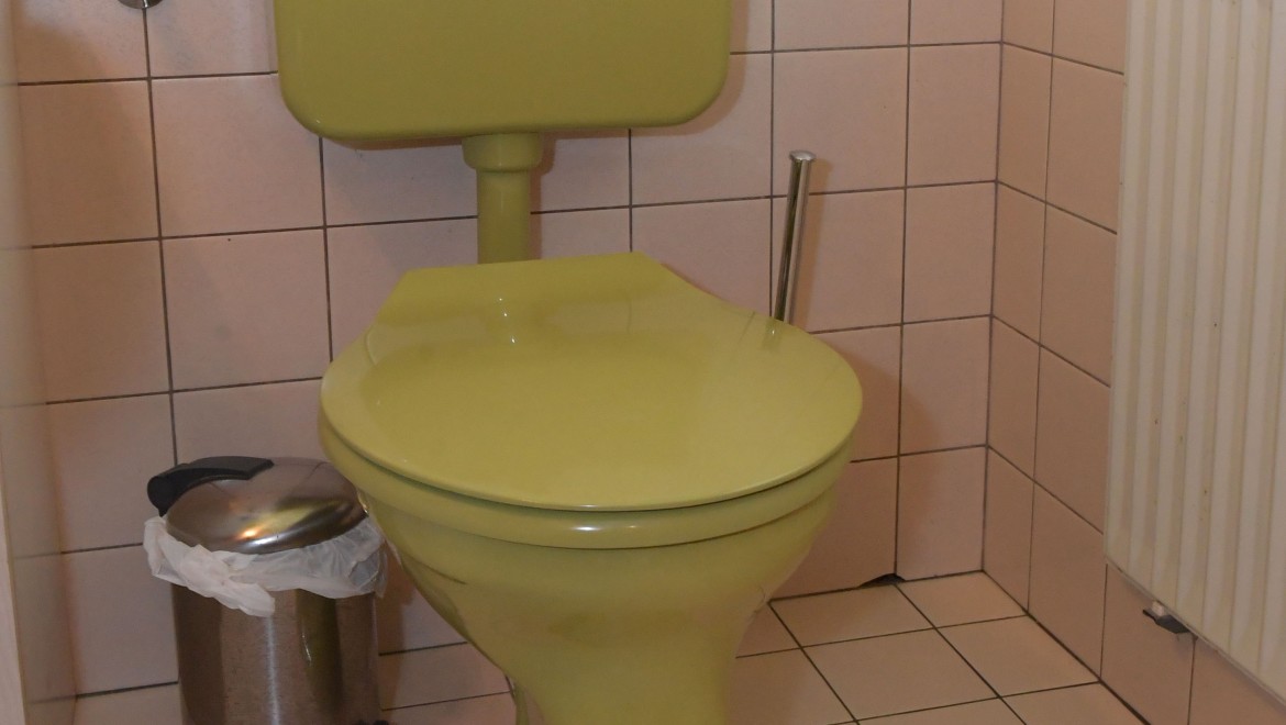The old WC with exposed cistern in the guest bathroom The old WC with exposed cistern in the guest bathroom