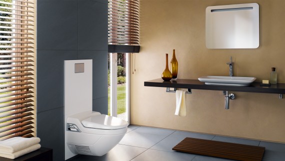 In the 1990s, tranquil design returned – which is why bathrooms became slightly larger In the 1990s, tranquil design returned – which is why bathrooms became slightly larger