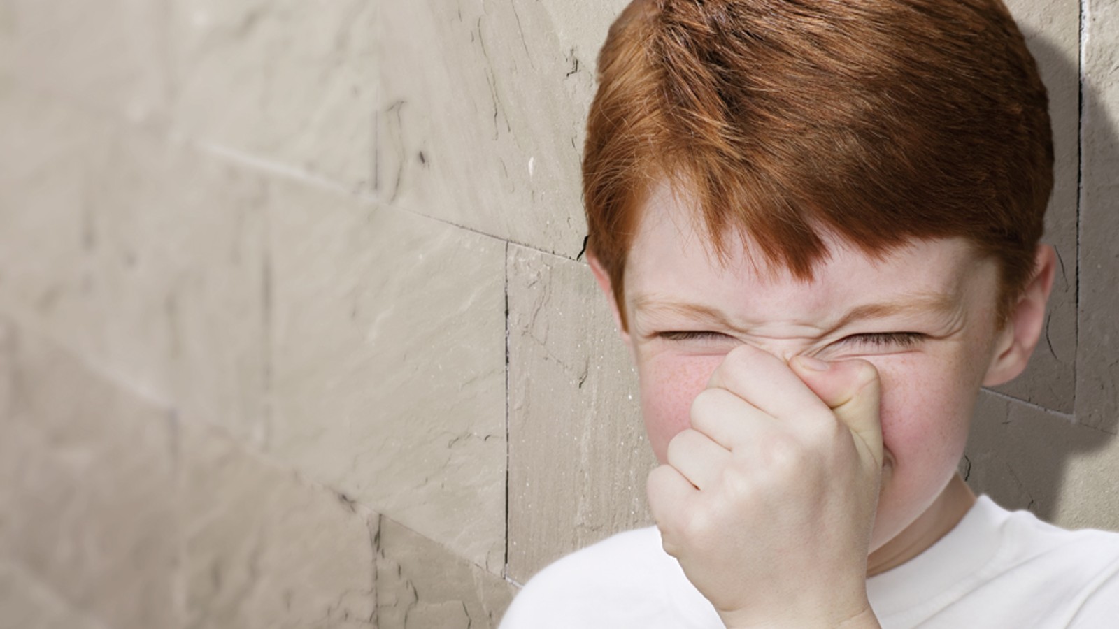 Various household remedies for fresh air