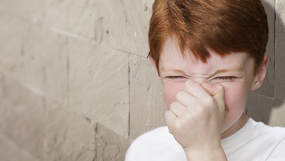 Various household remedies for fresh air Various household remedies for fresh air