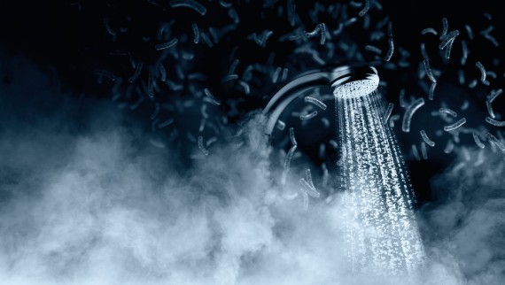 Bacteria can thrive in drinking water when conditions allow Bacteria can thrive in drinking water when conditions allow