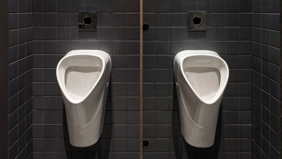 Classic elegance: the Selnova line of urinal ceramics (© Jānis Salmanis)