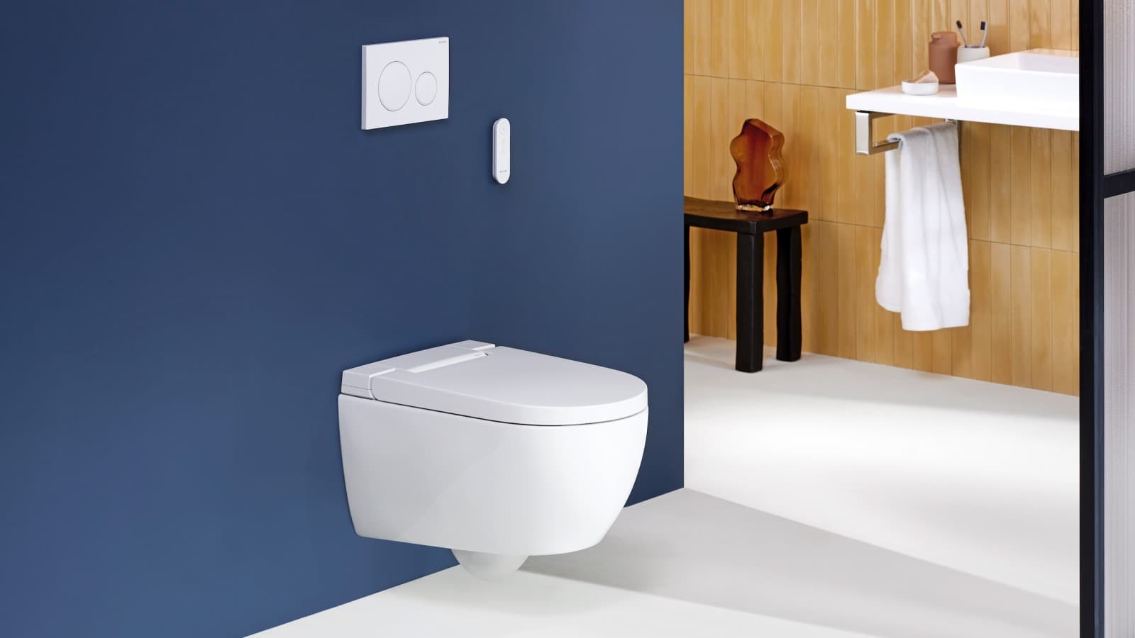 Geberit AquaClean Alba