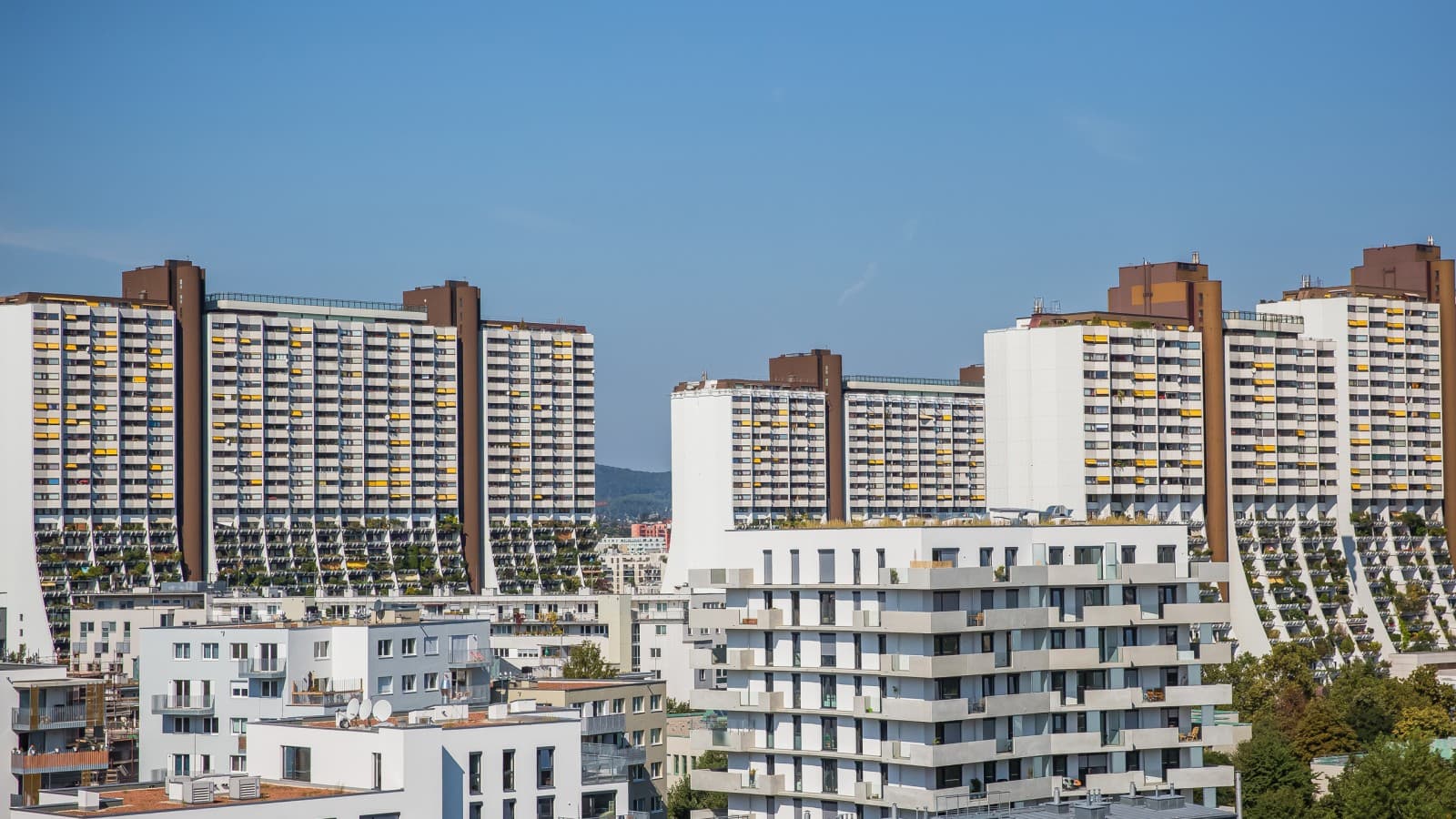 There are over 3200 flats in the Alt-Erlaa social housing complex. (© Agata Kadar – stock.adobe.com) There are over 3200 flats in the Alt-Erlaa social housing complex. (© Agata Kadar – stock.adobe.com)